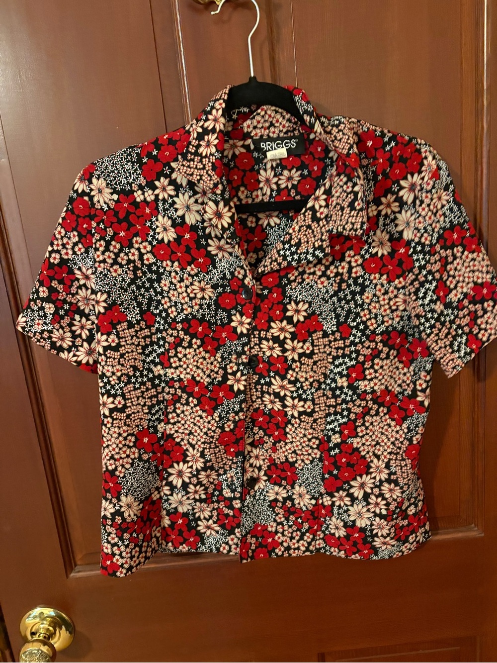 Vintage Briggs New York Petite Floral Blouse — Black, Red & Cream